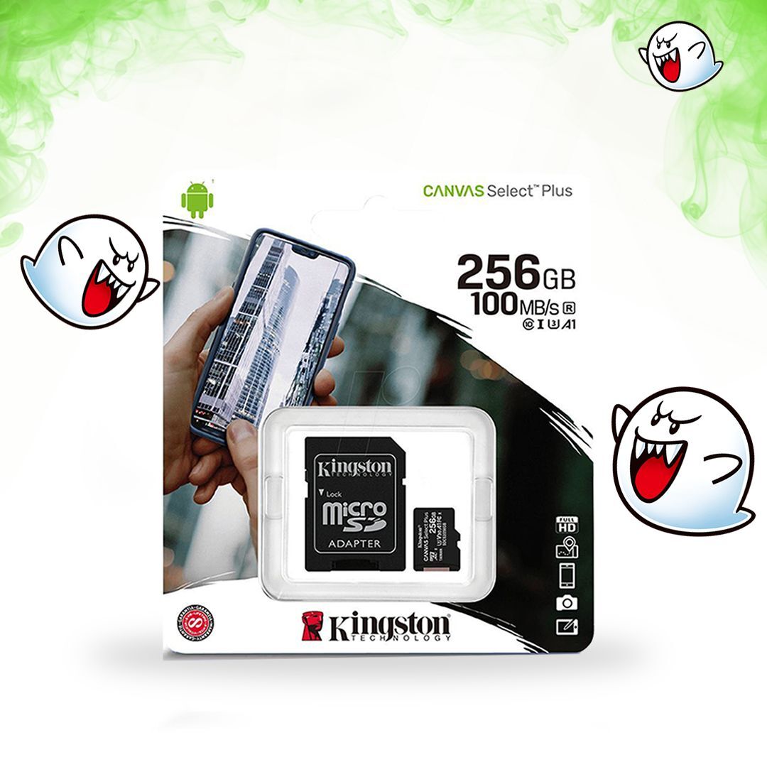 MICRO SD 256 GB